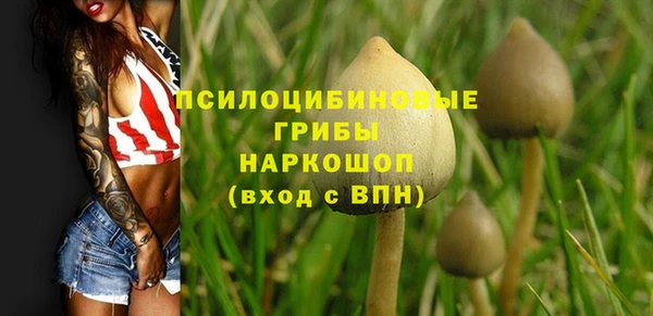 прущие крисы Алексеевка