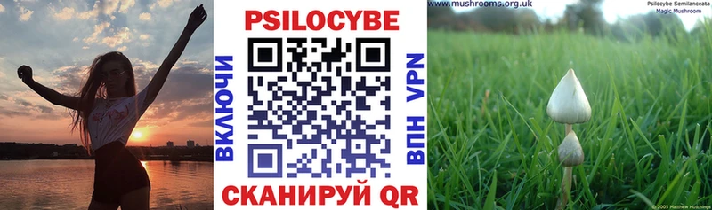 Галлюциногенные грибы Psilocybe Отрадная