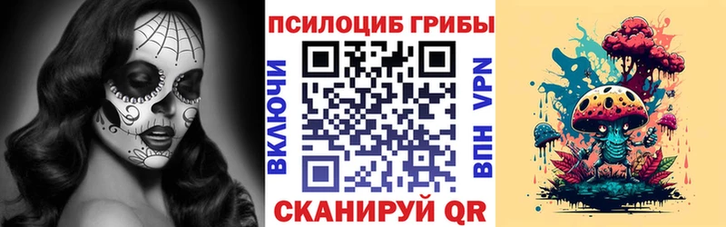 Псилоцибиновые грибы Psilocybine cubensis где можно купить наркотик Отрадная